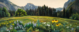 Cook’s Meadow, Yosemite National Park